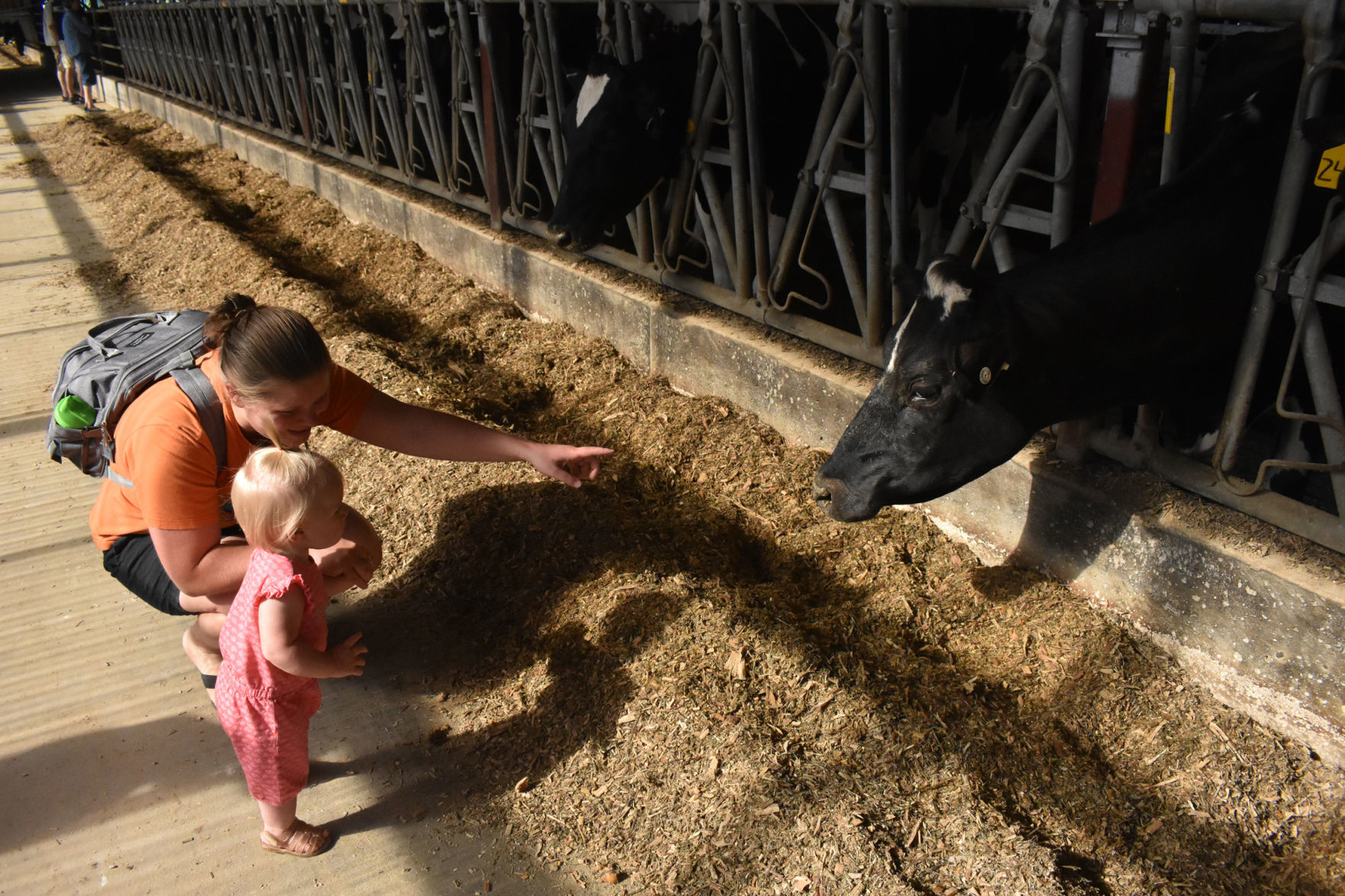 Nicole and Emma Kraus in the cow barn